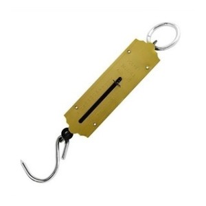 Balança Peixeiro 50KG WESTERN